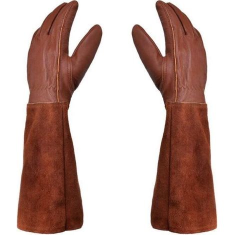 Gants de jardinage unisexes - Paire de gants de jardinage - Protection en cuir - Gants de jardinage pour épines et ronces et gants de travail - Marron - Taille M (1/5)