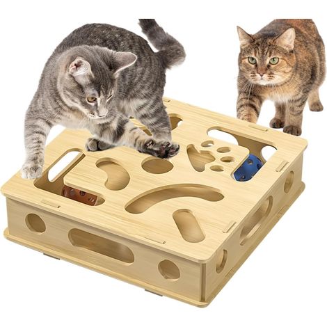 Puzzle interactif pour Chat - Jouet interactif avec (1/5)