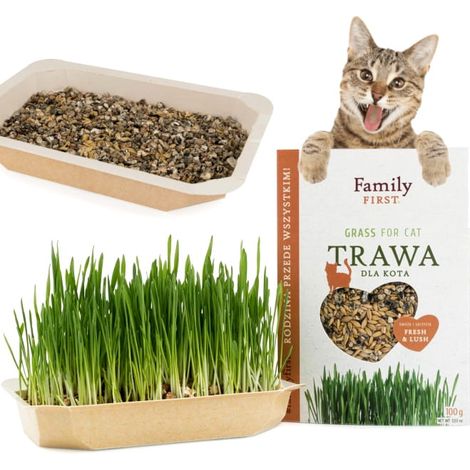 Gras, Gras für Katzen, Anti-Haarballen-Leckerli Family First Only Podła 100g