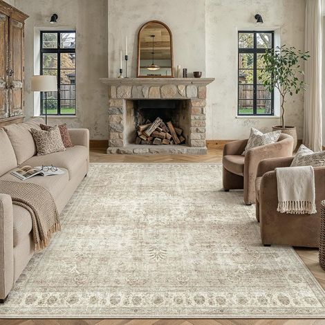 Vintage Tapis Salon 200x300cm Chambre Beige Grand Rug (1/5)