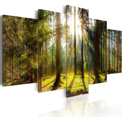 Quadro - Morning Awakening - 200x100 (1/4)