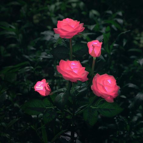 Éclairage Solaire En Forme De Fleurs Pour Décoration De Jardin -- Rose (1/5)