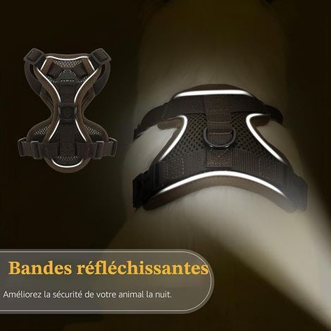 Ensemble Harnais et Laisse pour Chats,Chatons,Chiots,Marche  Harnais réglable pour chaton avec bande réfléchissante, maille respirante, doux (Café,M) (1/4)