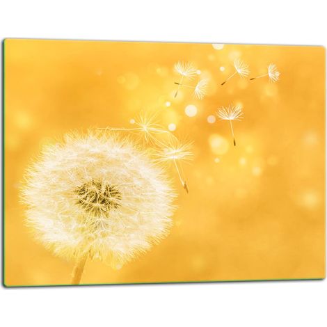 Tabla de cortar de vidrio 52x40 flor (1/5)