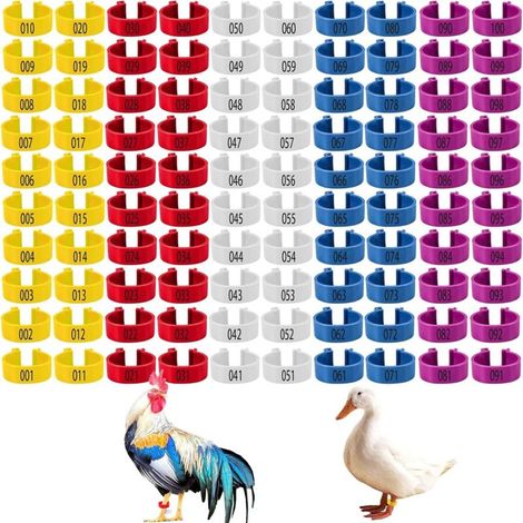 100 anneaux pattes poulet numérotés – 5 couleurs – Clip plastique 20 mm – Canards, pigeons, oies (1/5)
