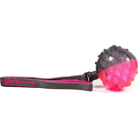 Lancia Palline per Cani Gloria Grigio Rosa TPR Sfera L (1/3)