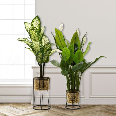 Vase Ilul