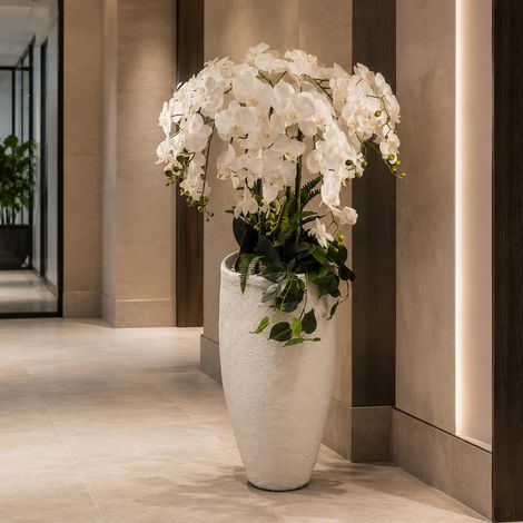 150cm White Orchid Potted Display Artificial Premium (1/5)