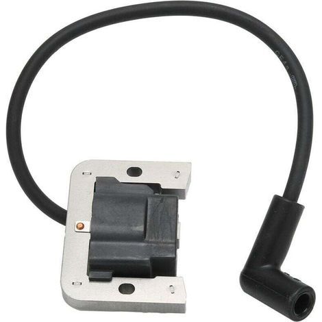 BUNTHAUS PA Bobine de module d'allumage adaptée au moteur Kohler 20‑584‑03‑S 2058403 2058403S (1/5)