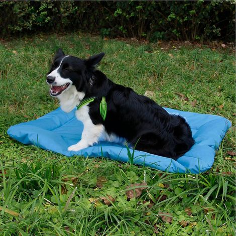 Hundebetten, faltbare Outdoor-Camping-Hundebox-Kissen, wasserdichtes und kratzfestes 600D Oxford-Gewebe – Tragbares Design, geeignet für kleine und mittelgroße Hunde, ideal zur Wärmespeicherung oder f (1/5)