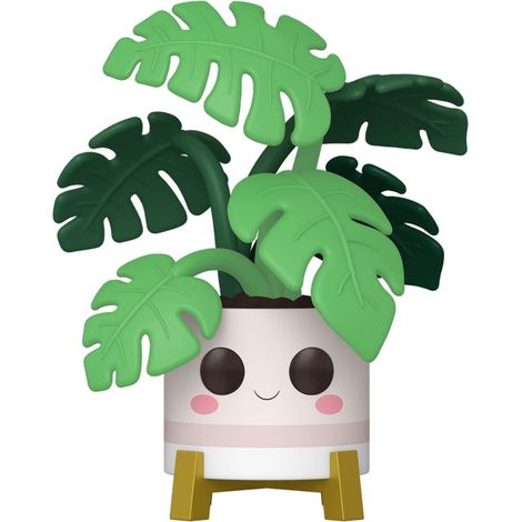 Plante monstera plante dinterieur vivante pot de 15 cm (1/2)
