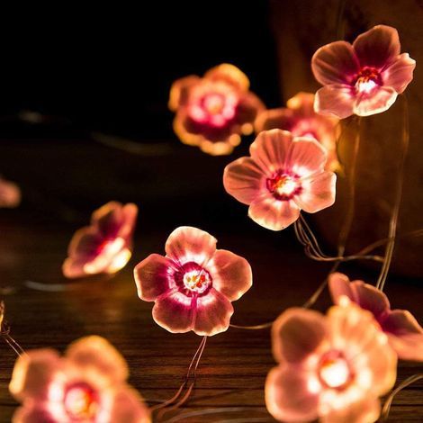 AIDUCHO Lumières Led Sakura, Chaîne De Fleurs De Cerisier, Guirlandes Lumières De Fleurs, Guirlande Lumineuse Cerise Rose Pour Fête, Vacances, Mariage, Anniversaire, Atmosphère (2m) (1/5)