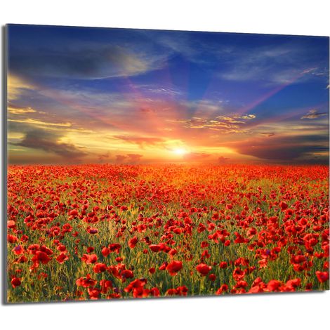 Plaque de protection en verre pour poêle 60x52 Maki