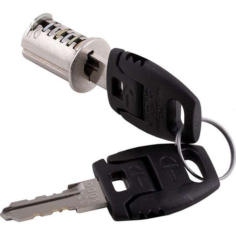 Cyclingcolors – Cylindre de serrure à paillettes 30/30mm – 2 clés coudées 90° – Noyau interchangeable – Pêne verrou pour porte et portail