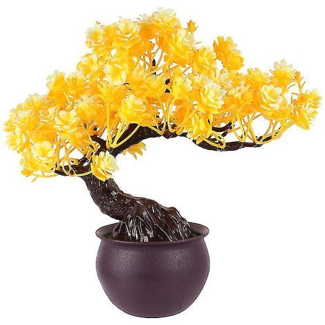 1 pot de jasmin en plastique (1/3)