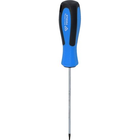 BRILLIANT TOOLS Schraubendreher TORX T8 x 100 mm - BT031039 (1/4)