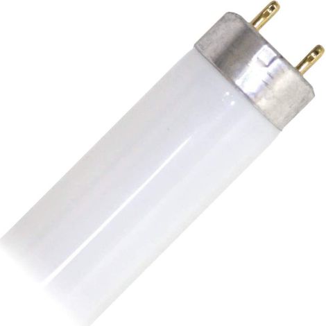 Tube fluorescent droit T8 Philips 30540 - TLD 30W/54 6500