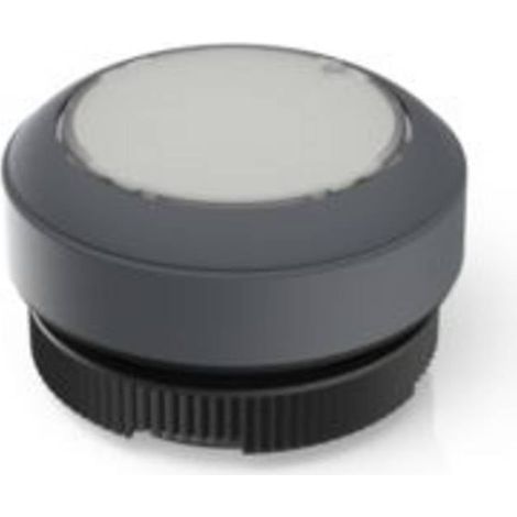 RAFI 1.30.270.901/2207 RAFIX 22 FS Pulsante illuminato Momentaneo (L x L x A) 29.8 x 29.8 x 18.5 mm 1 pz.