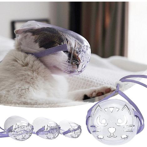 Masque anti-morsure respirant transparent pour chat, protection buccale pour toilettage d'animaux de compagnie, taille L