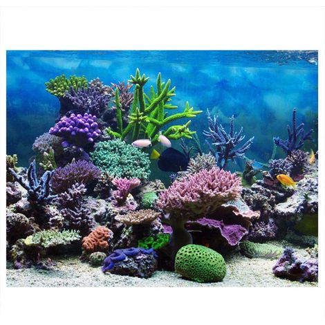 PVC adhésif sous-marin corail Aquarium Aquarium fond affiche toile de fond décoration papier (12261 cm) (1/5)