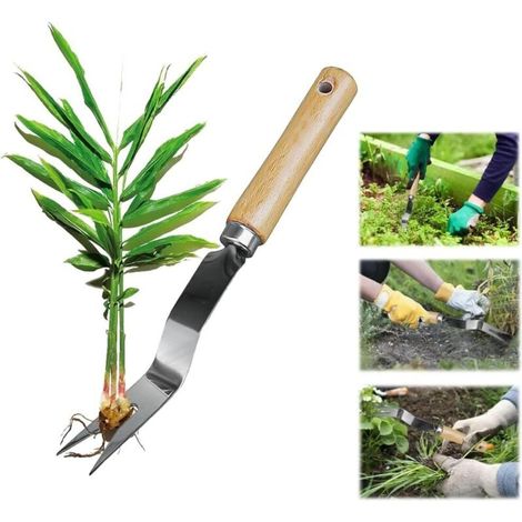 Outil de Désherbage Manuel avec Manche en Bois, Arracheur Mauvaise Herbe en Aciers Inoxydables, Couteau Arrache Racine Manuel, Outils Jardinage pour Pissenlit, Mauvaise Herbe, Fleurs, Plantes