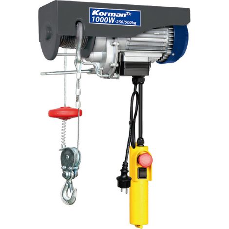 Palan électrique 1000W 250/500Kg type treuil à câble électrique (1/5)