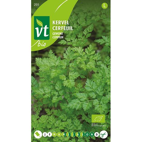 Bio Cerfeuil Commun - Ca. 3 gr (Livraison Gratuite) (1/2)