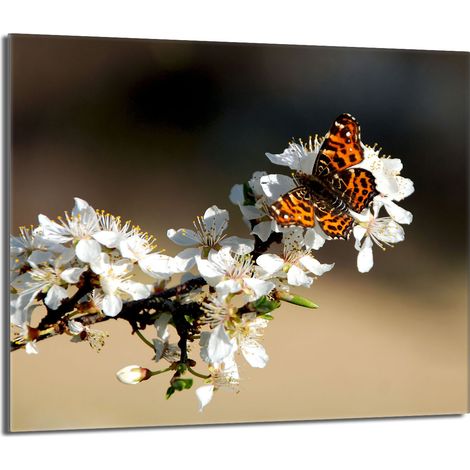 Plaque de protection en verre pour poêle 60x52 Prune