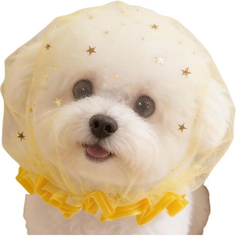 Filet Tête Petit Chien Protecteur Souple Respirant À Libération Rapide Couvre-Chef Empêchant De Manger pour Chiens Et Chats pour Activités Extérieures Rassemblements Temps Chaud Parc Rue (1/5)