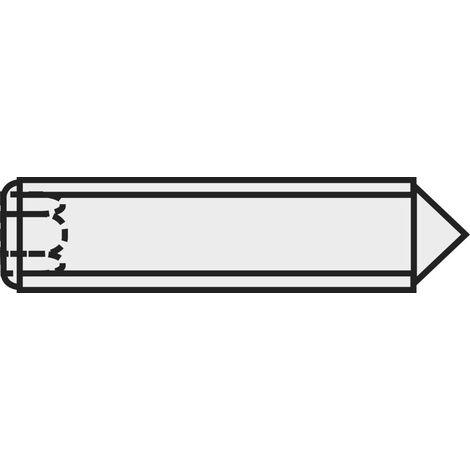 TOOLCRAFT 827337 Vis sans tête M3 10 mm acier 20 pc(s) C54224 (1/2)