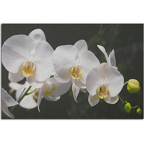 Tableau bois orchidées blanches - 50 x 40 cm (1/3)
