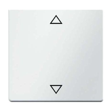 BERKER BOUTON-POUSSOIR AVEC MARQUAGE SYMBOLE 16206079 LIME P Q.1 PLAQUE DE RECOUVREMENT POUR INTERRUPTEUR/BOUTON-POUSSOIR DE STO