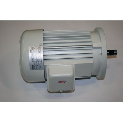 ELMAG Motor Nr. 175