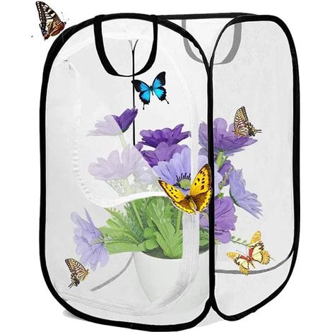 Ritte Habitat Cage Pliable pour Insectes et Plantes - Mesh pour L'élevage et La Reproduction des Semis (1/5)