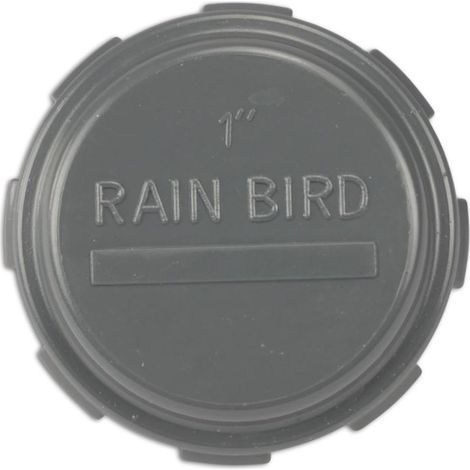 Rain Bird PVC Gewindekappe grau - 1 Zoll IG (1/2)