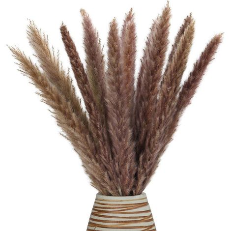 Plume De Pampas - 30 Pièces - Longueur Environ 43 Cm - Décoration Intérieure Maison Mariage Fête - Séché Naturel (1/5)