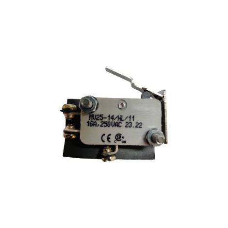 Microrupteur Levier RS PRO, Vis, SPDT, 16 A @ 250 V CA 250V ( Prix pour 1 )