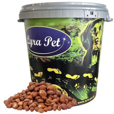 10 kg de graines d'arachide Lyra Pet® avec peau Nouvelle récolte en baril de 30 L