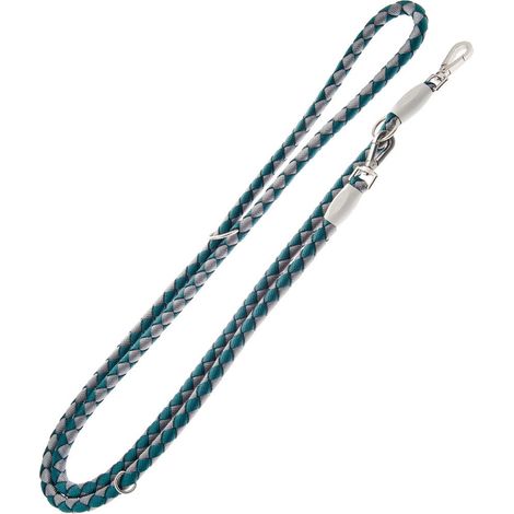 Huile - Laisse de dressage super solide en nylon tressé et âme en corde Nodo 1,5x250 cm pour chiens (1/5)