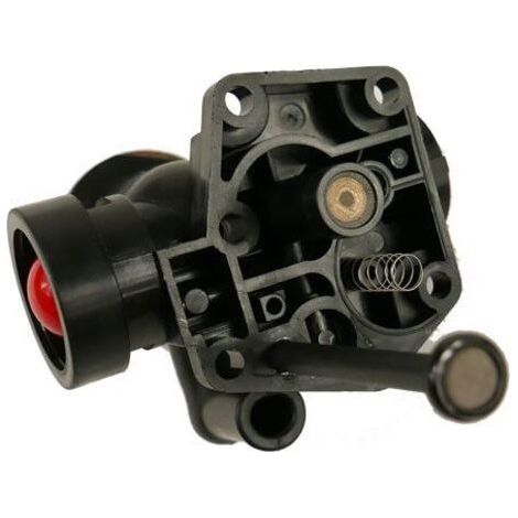 NALOOKAMIC  Carburateur Briggs Stratton sur réservoir 498811 (1/3)