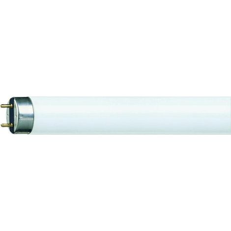 Philips MASTER TL-D Super 80, 36W, 3000K, G13, 55874940 (1/5)