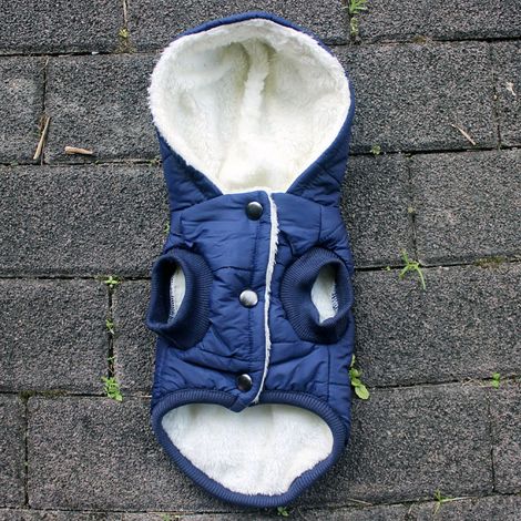 Sweat à Capuche en Polaire et Coton pour Chien, Pull Chaud Moelleux, Vêtements d'Hiver pour Chiot et Chat, Animal de Compagnie, Extérieur (1/3)