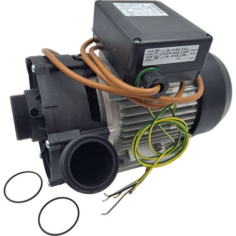 Ricambio pompa SAM2-180 2 velocità assiemata Jacuzzi 930109350 (1/4)