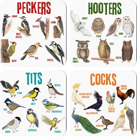Placemats - Bois - Jeu De Mots Oiseaux - Pour Table Intérieure Et Extérieure - Lot De 6 (1/5)