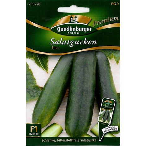 Quedlinburger Salatgurken Silor - Gemüsesamen (1/2)