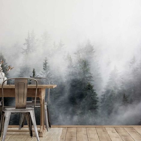 Papier peint bois sous la brume papier peint (1/5)