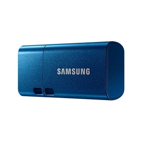 Samsung MUF-256DA Chiavetta Usb 256 GB USB Tipo-C 3.2 Gen 1 Blu (1/5)