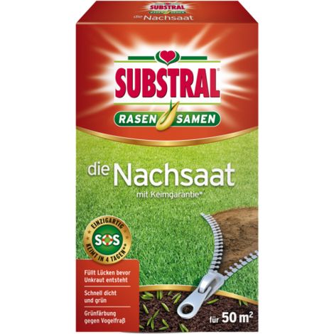 Semi substral die nachsaat alto tasso germinazione riparazione prato