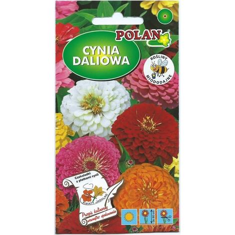Platinet-Zinniensamen (Zinnia elegans) 1 g