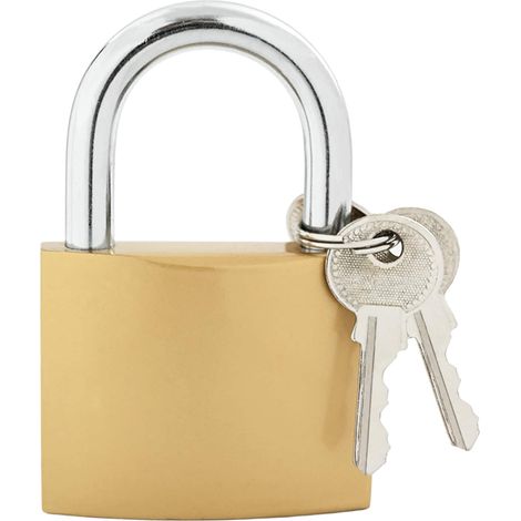 U Lock con Chiavi Ottone 6 x 2 x 9,1 cm Ferro vidaXL